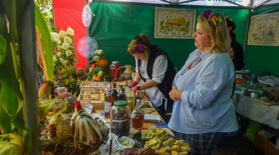 dożynki gminy Stegna 202246