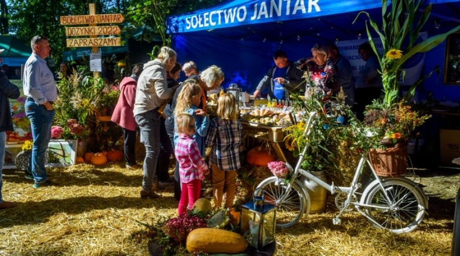 dożynki gminy Stegna 202257