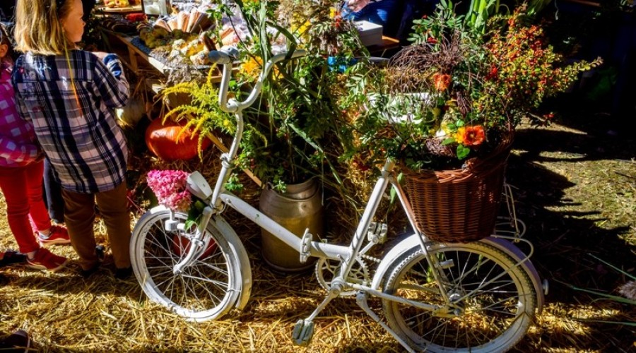 dożynki gminy Stegna 202258