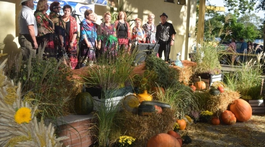 dożynki rybina (13)