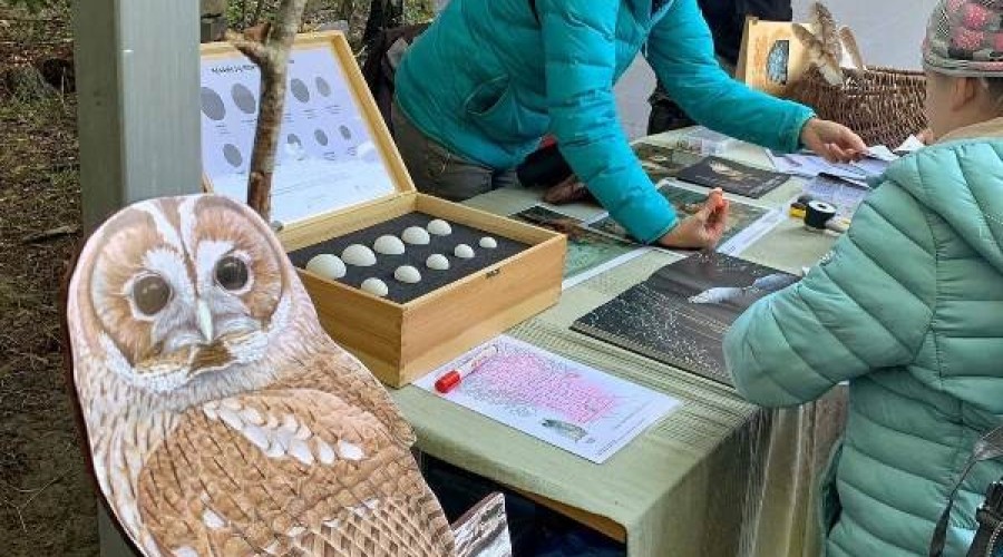 ptasi piknik krynica morska (7)