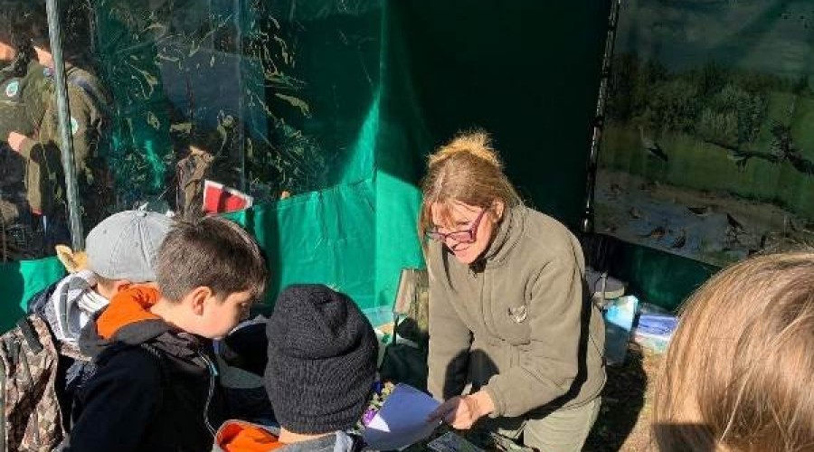 ptasi piknik krynica morska (9)