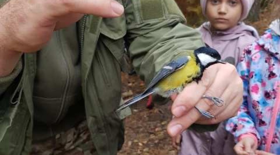Jantar. Spotkanie uczniów z ornitologami ze stację terenowej Akcji Bałtyckiej.16