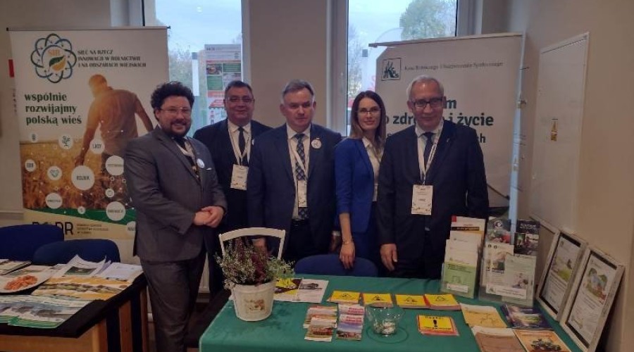 bitwa regionow stare pole19