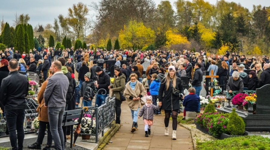 1 listopada powiat nowodworski18