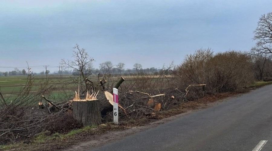 remont drogi 501 mierzeja (13)