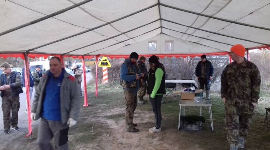 54798075_2290904364295483_3957102241961213952_n