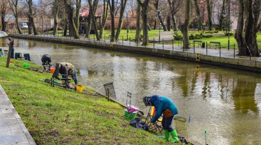 I tura Mistrzostw Koła w wędkarstwie spławikowym z rekordowymi połowami (134)