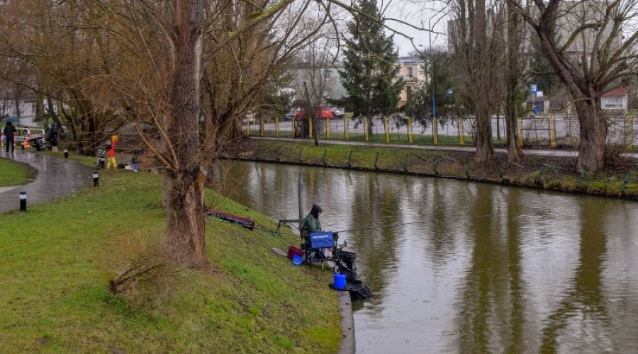 I tura Mistrzostw Koła w wędkarstwie spławikowym z rekordowymi połowami (145)
