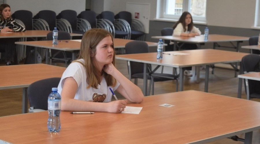 Dyktando Gmina Stegna (29)