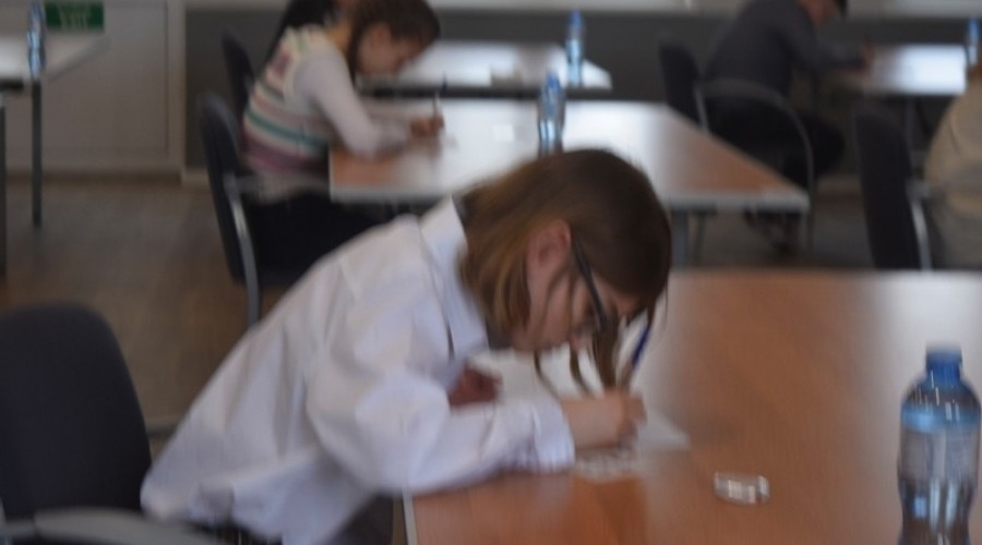 Dyktando Gmina Stegna (32)