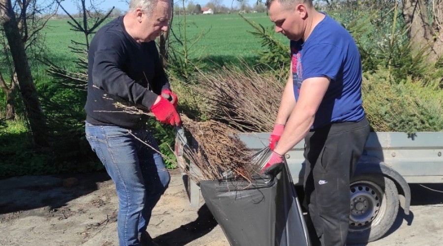 akcja zadrzewieniowa powiat nowodworski11