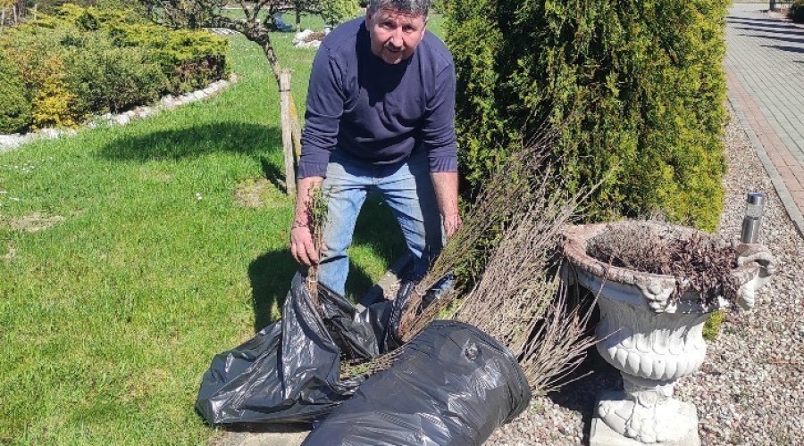 akcja zadrzewieniowa powiat nowodworski16