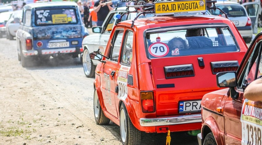 image_processing20230602-1348186-4jvoc1