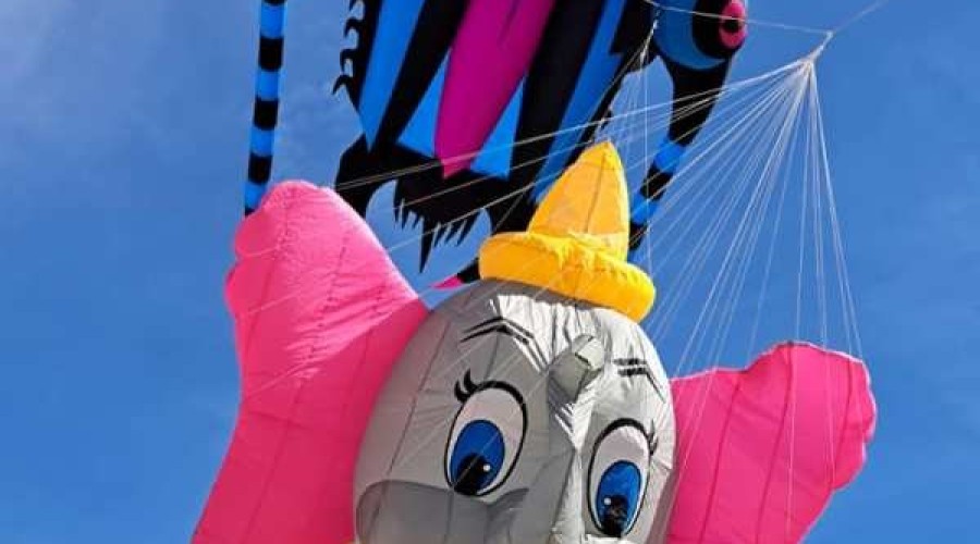 „Kiteweekend” na Mierzei Wiślanej (9)