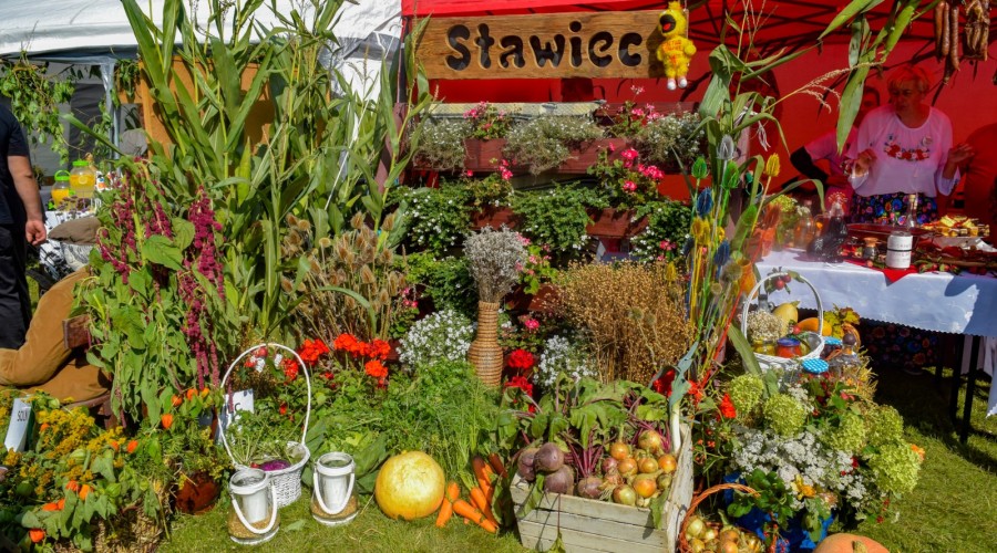 Dożynki Żuławskie Kmiecin 2023 (39)