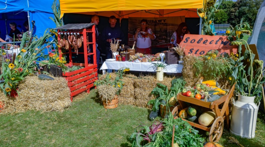 Dożynki Żuławskie Kmiecin 2023 (45)