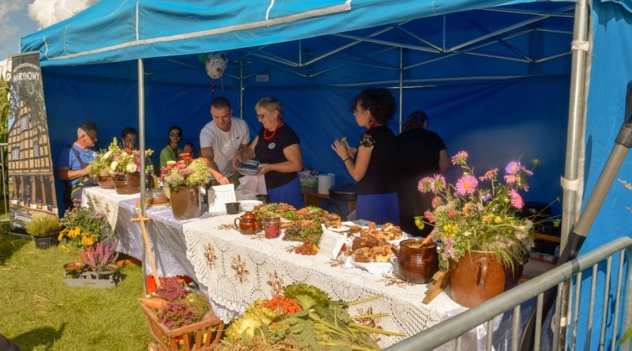 Dożynki Żuławskie Kmiecin 2023 (46)