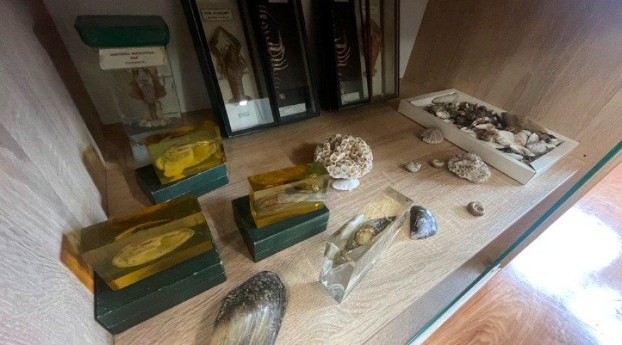 otwarcie ekopracowni w sztutowie (17)