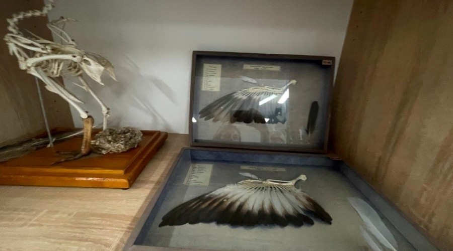 otwarcie ekopracowni w sztutowie (18)