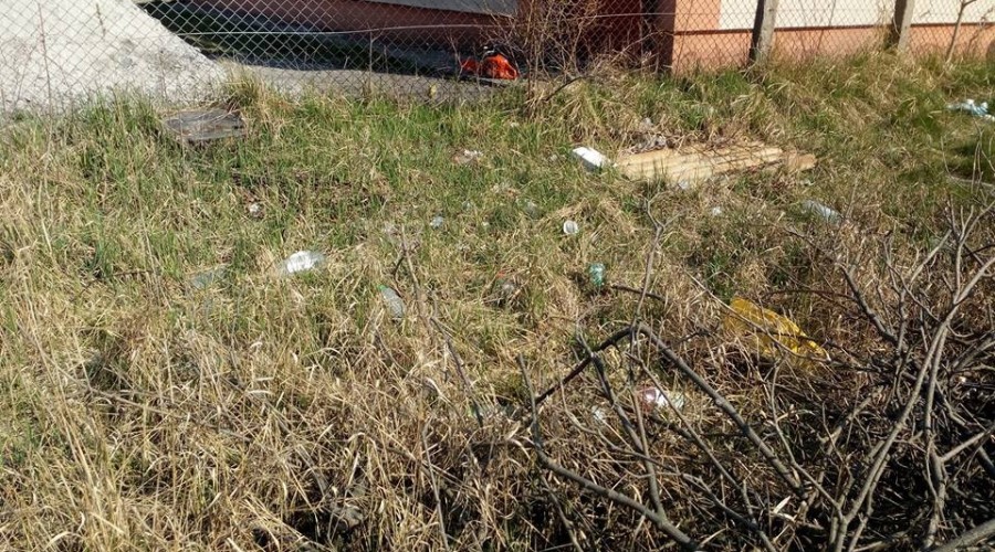 sprzątanie sztutowo (4)