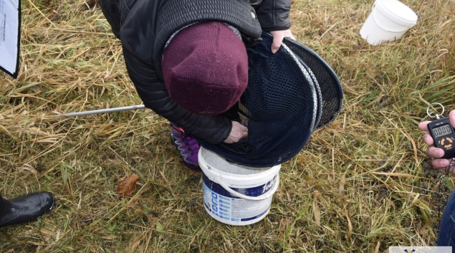 Memoriał  Janusza Charlińskiego (29)