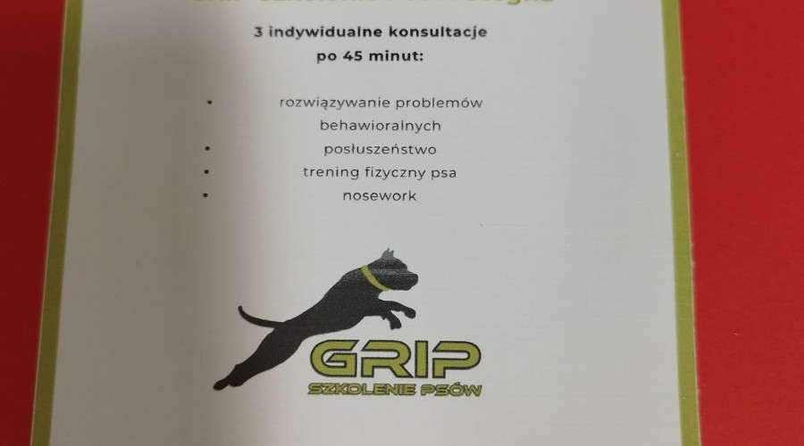 wośp stegna (12)