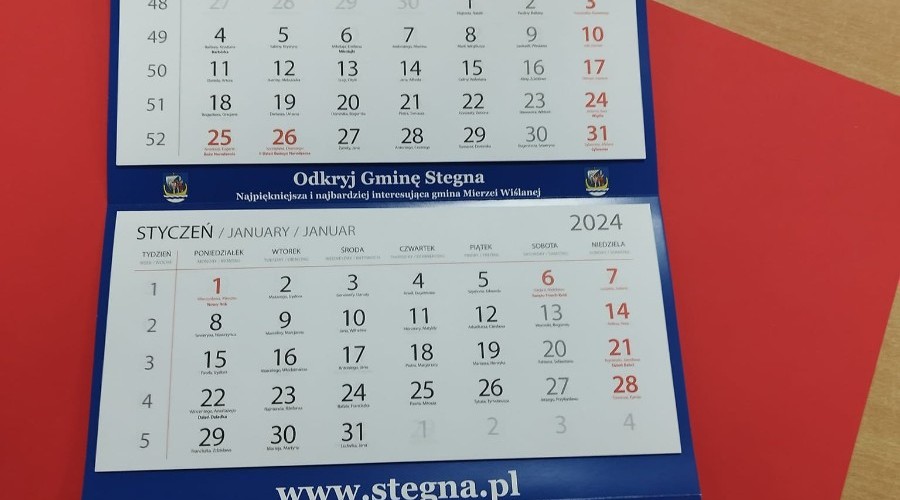wośp stegna (3)
