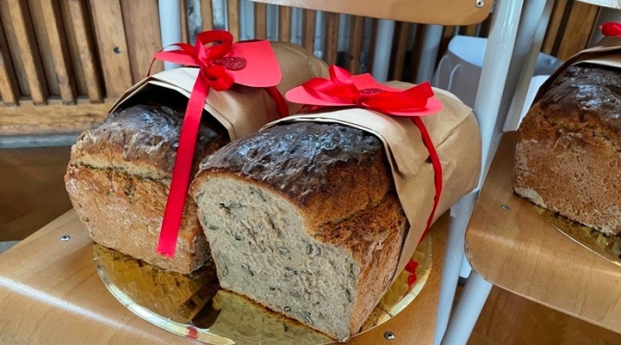 wośp ndg, sztutowo, stegna19