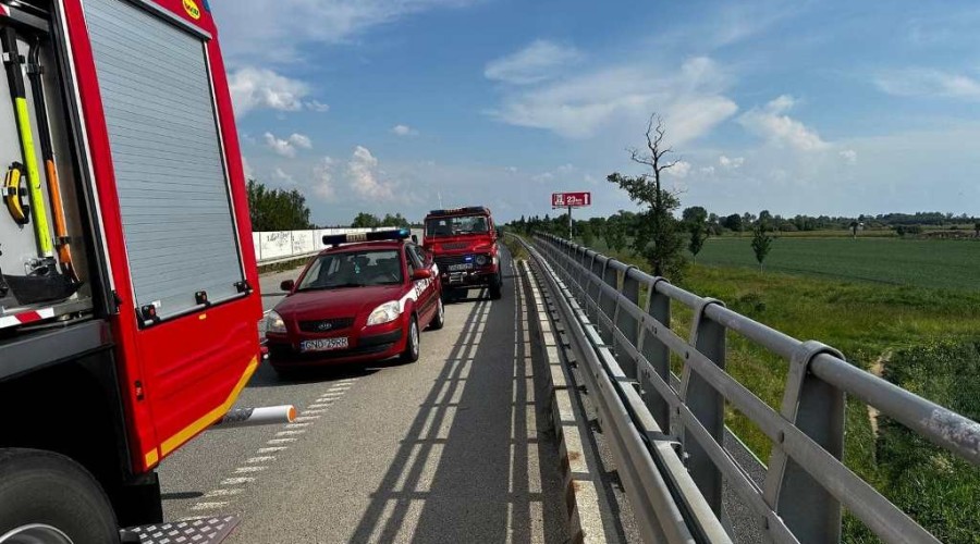 poszukiwania zaginionej nowy dwór gd (1)