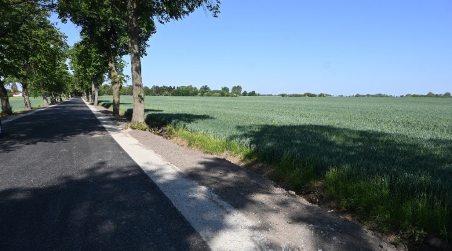 tuja odbior drogi (4)