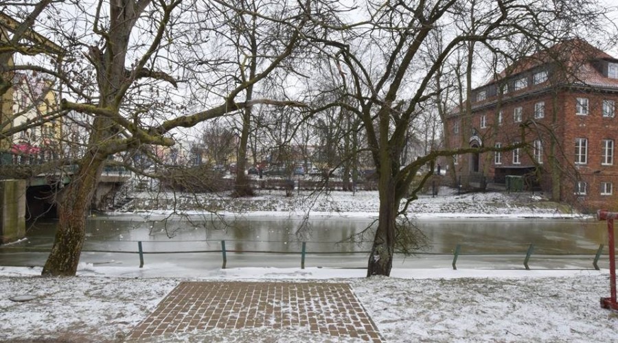 50119446_2161625767501293_2395194525292167168_n