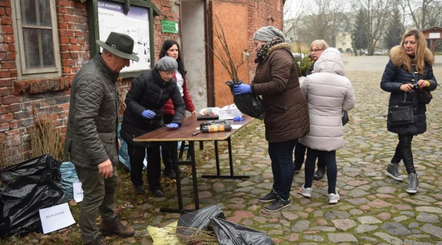 akcja-drzewko-za-butelkę-13