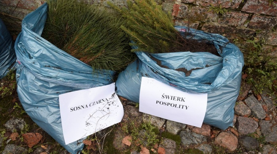 akcja-drzewko-za-butelkę-27