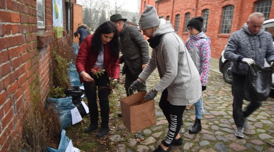 akcja-drzewko-za-butelkę-46