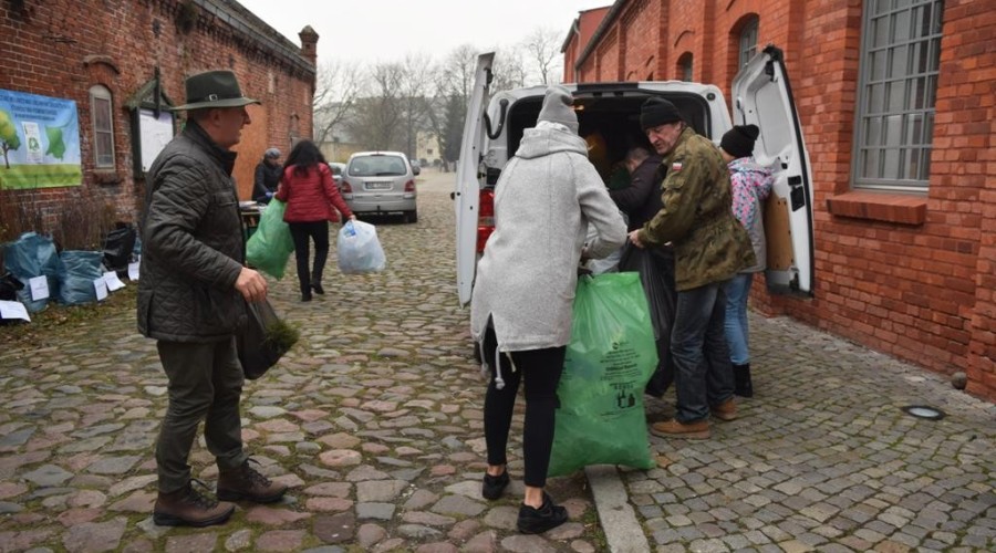 akcja-drzewko-za-butelkę-50