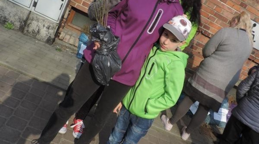 drzewko za butelkę (10)