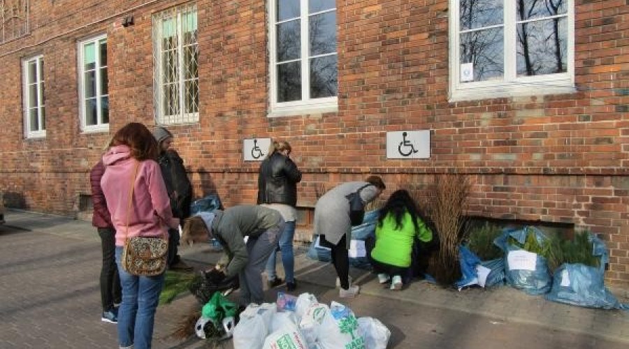 drzewko za butelkę (15)