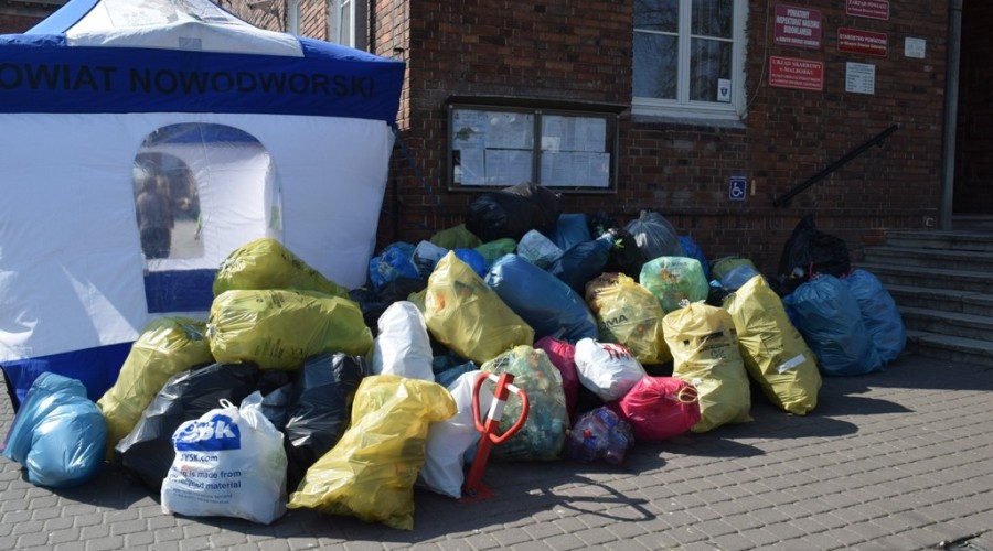 drzewko za butelkę (2)