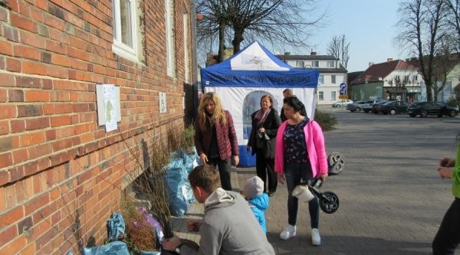 drzewko za butelkę (24)