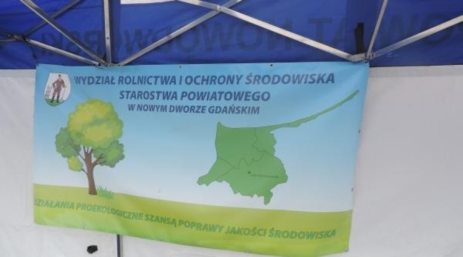 drzewko za butelkę (4)