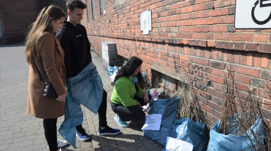 drzewko za butelkę (5)