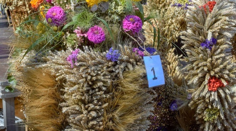 dozynki gminy owy wór gd Marzęcino 2024 (43)