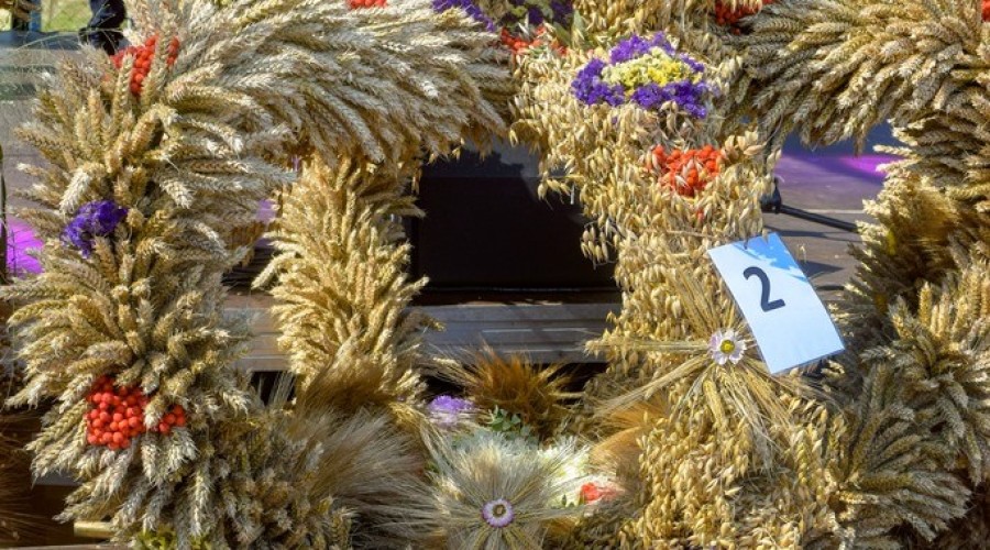 dozynki gminy owy wór gd Marzęcino 2024 (45)