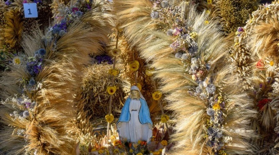 dozynki gminy owy wór gd Marzęcino 2024 (47)