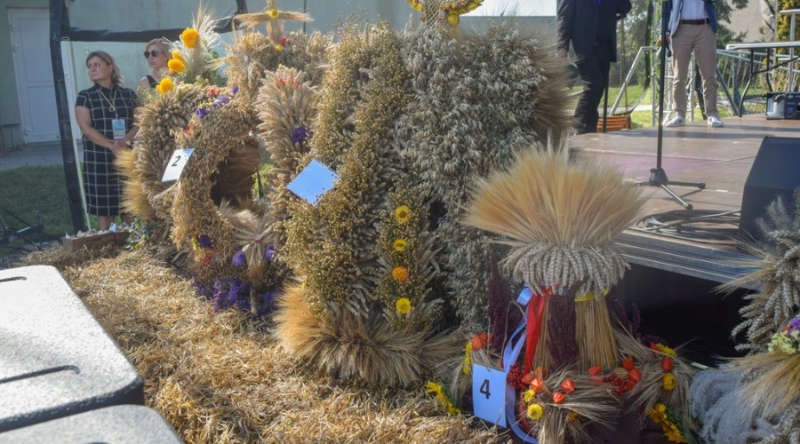 dozynki gminy owy wór gd Marzęcino 2024 (49)