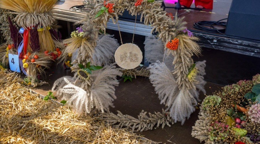 dozynki gminy owy wór gd Marzęcino 2024 (50)