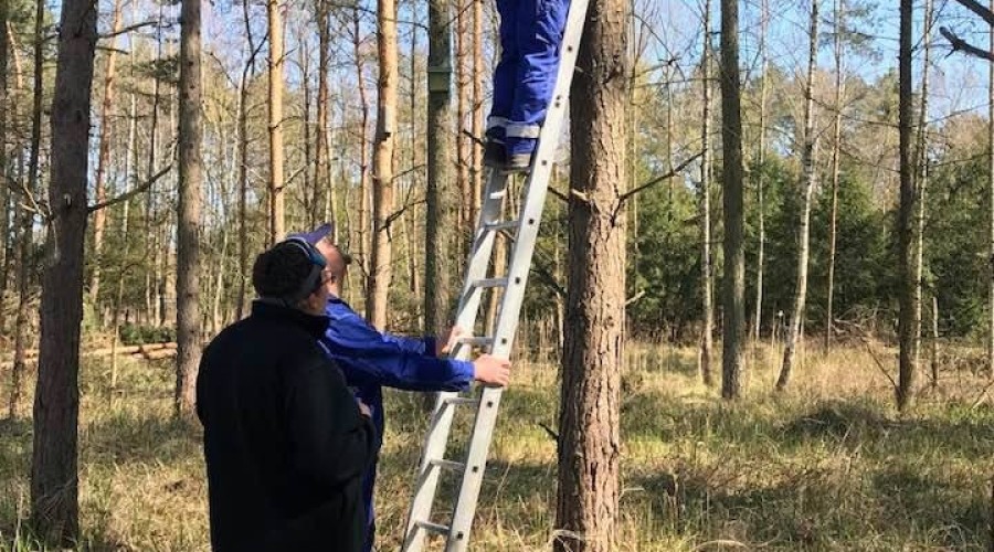 przekop budki legowe (2)