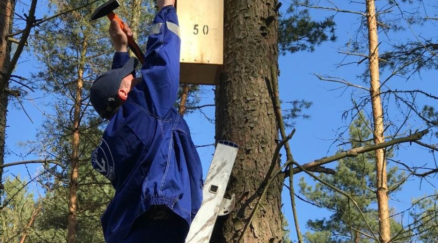 przekop budki legowe (3)