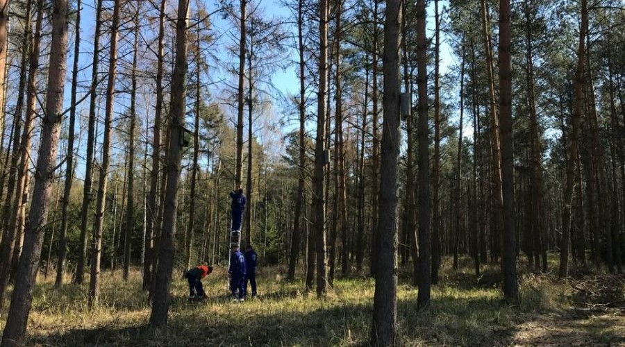 przekop budki legowe (6)